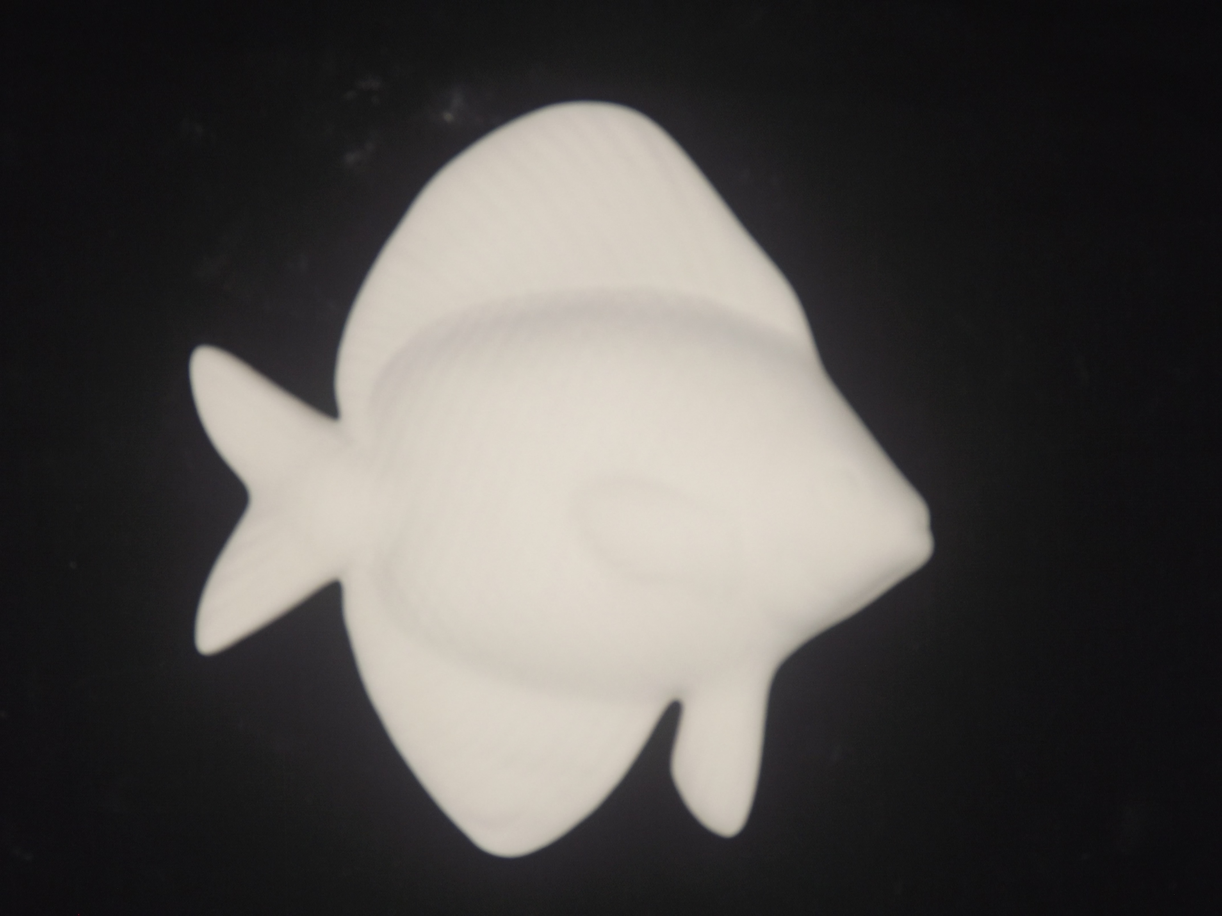 Peixe Cara